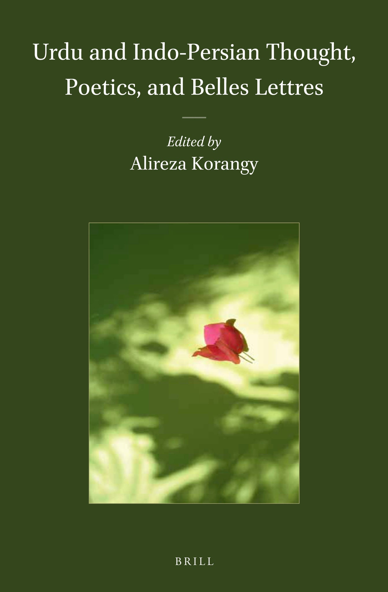 Cover image for Urdu and Indo-Persian Thought, Poetics, and Belles Lettres ISBN 9789004251885